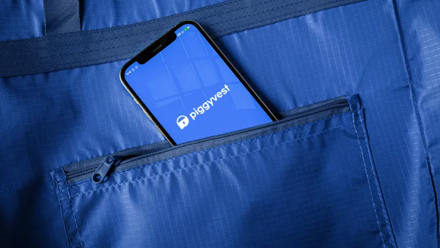 PiggyVest Report: 30% of Nigerians Earn Below N100,000 Monthly